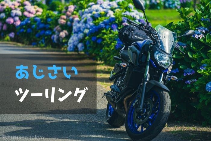 あじさいツーリング！関東・神奈川の名所とバイク＋紫陽花の写真撮影コツを紹介